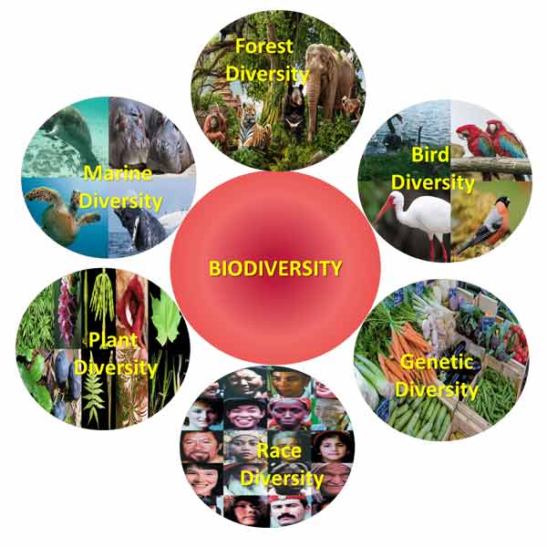 Centre for Research In Biodiversity Conservation