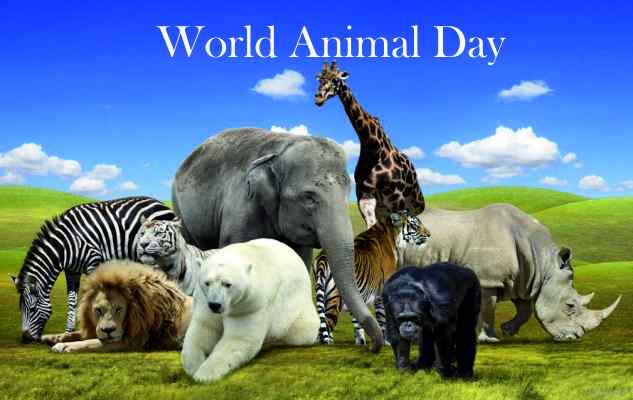 World Animal Welfare Day 4 th October 2020