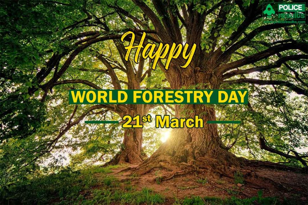 World Forest Day 21 st March 2021